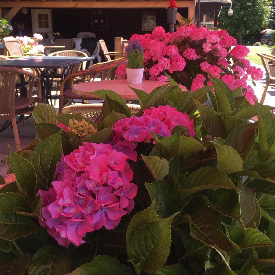 Boerderijcamping Plantlust วีเร ภายนอก รูปภาพ