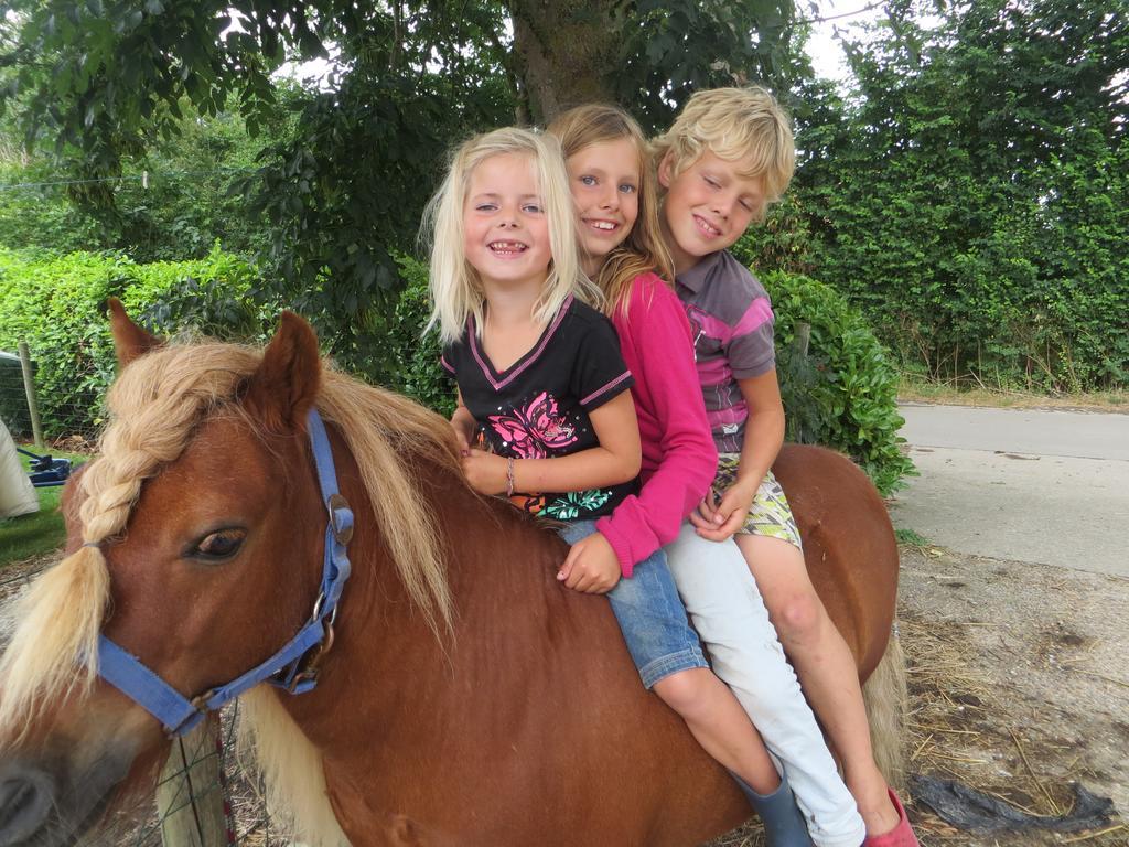 Boerderijcamping Plantlust วีเร ห้อง รูปภาพ