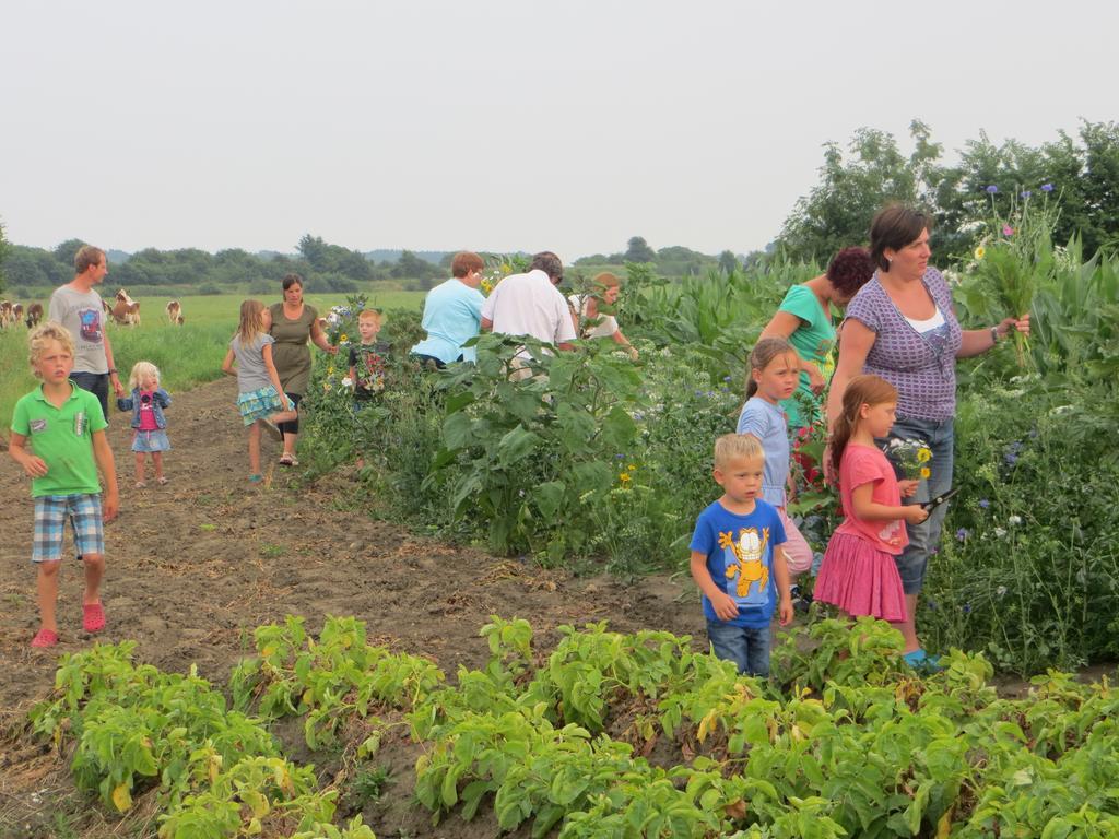 Boerderijcamping Plantlust วีเร ห้อง รูปภาพ